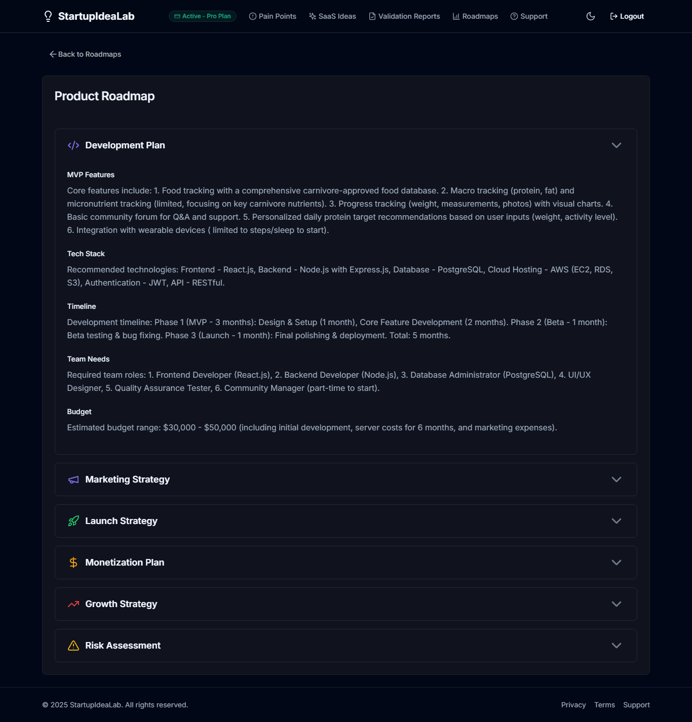 Roadmaps interface showing development plan and strategic timelines